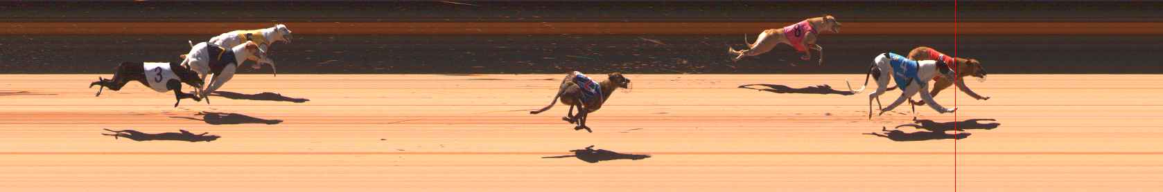 Race result finish photo